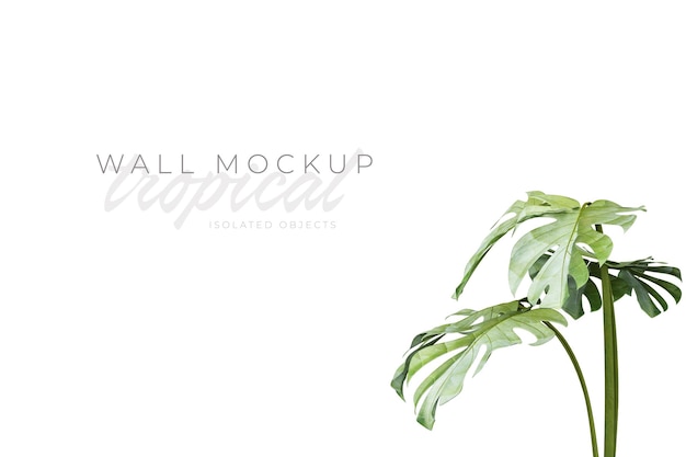 Tropischer und sommerlicher Hintergrund Mockup