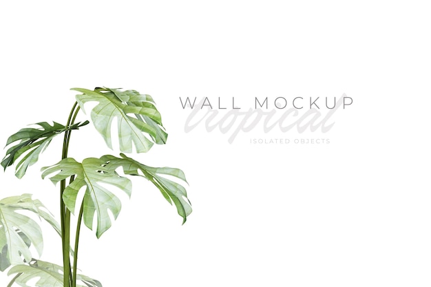 Tropischer und sommerlicher Hintergrund Mockup