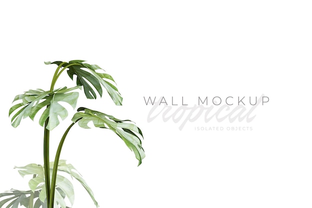 Tropischer und sommerlicher Hintergrund Mockup
