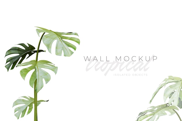 Tropischer und sommerlicher Hintergrund Mockup