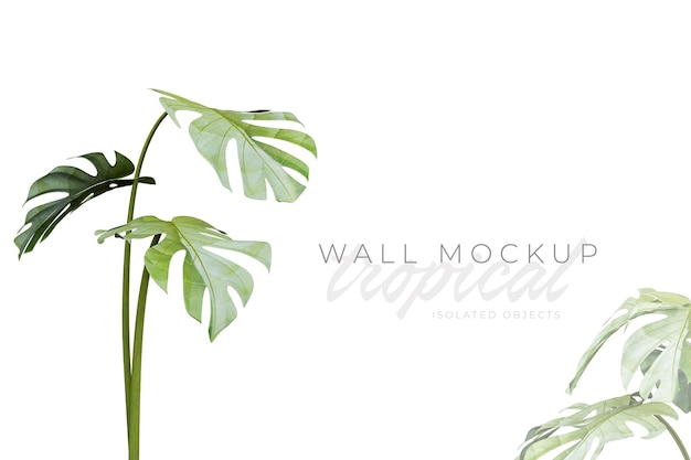 Tropischer und sommerlicher Hintergrund Mockup