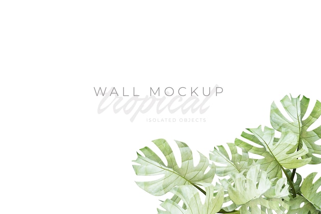 Tropischer und sommerlicher Hintergrund Mockup