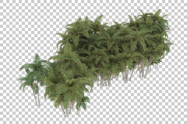 Tropischer Wald auf transparentem Hintergrund. 3D-Rendering - Abbildung
