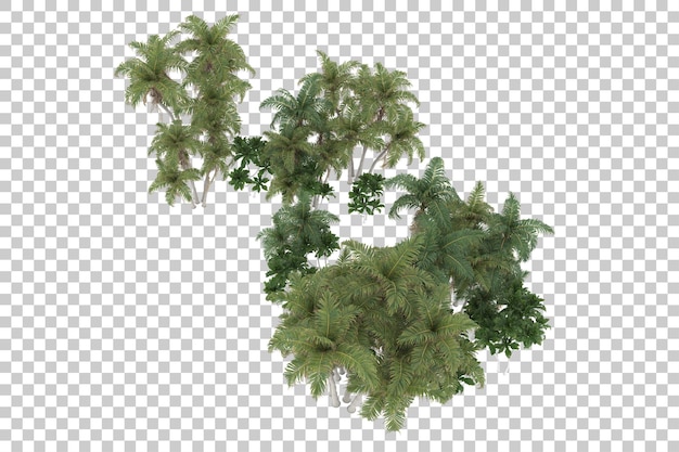 Tropischer Wald auf transparentem Hintergrund. 3D-Rendering - Abbildung