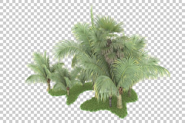 Tropischer Wald isoliert auf durchsichtigem Hintergrund 3D-Rendering-Illustration