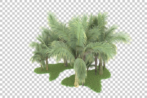 Tropischer Wald isoliert auf durchsichtigem Hintergrund 3D-Rendering-Illustration