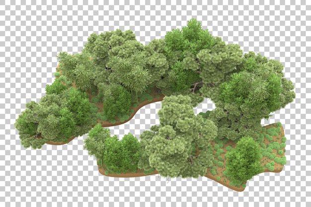 Tropischer Wald isoliert auf durchsichtigem Hintergrund 3D-Rendering-Illustration