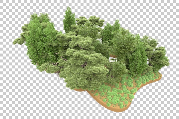 Tropischer Wald isoliert auf durchsichtigem Hintergrund 3D-Rendering-Illustration