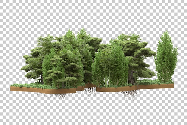 Tropischer wald isoliert auf durchsichtigem hintergrund 3d-rendering-illustration