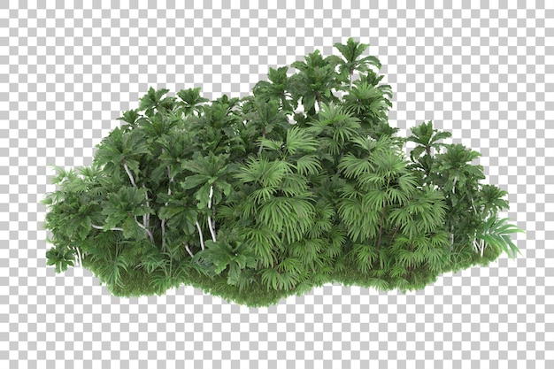 Tropischer Wald isoliert auf transparentem Hintergrund 3D-Darstellung