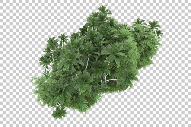 Tropischer Wald isoliert auf transparentem Hintergrund 3D-Darstellung