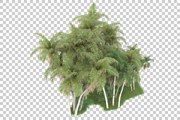 Tropischer Wald isoliert auf transparentem Hintergrund 3D-Darstellung
