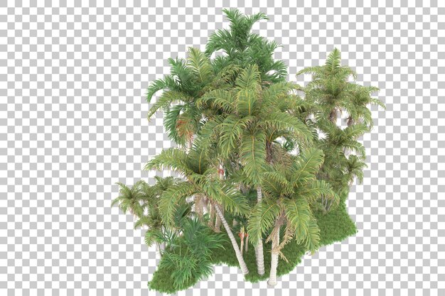 Tropischer Wald isoliert auf transparentem Hintergrund 3D-Darstellung