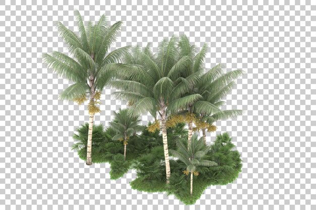 Tropischer Wald isoliert auf transparentem Hintergrund 3D-Darstellung