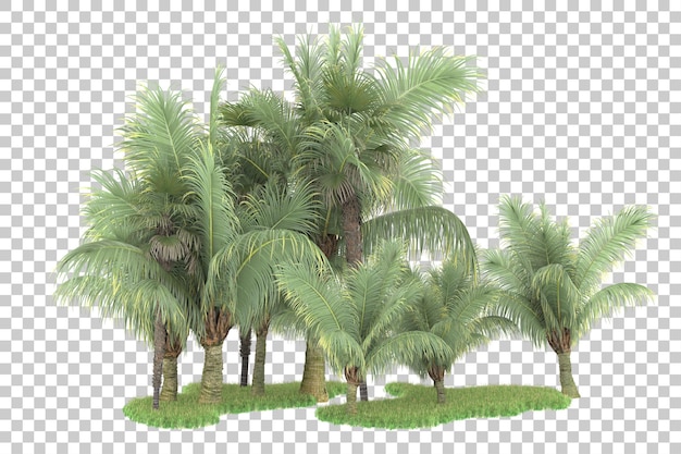 Tropischer Wald isoliert auf transparentem Hintergrund 3D-Darstellung