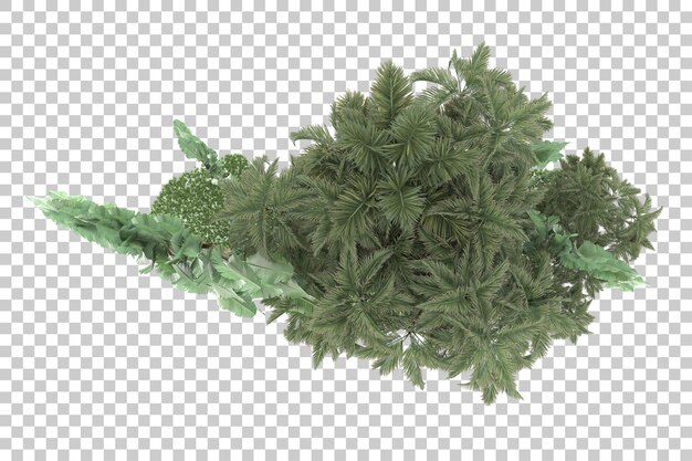Tropischer Wald isoliert auf transparentem Hintergrund 3D-Darstellung
