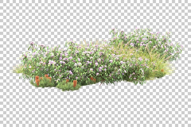 Tropischer Wald isoliert auf transparentem Hintergrund 3D-Darstellung