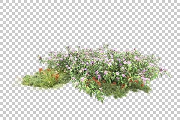 Tropischer Wald isoliert auf transparentem Hintergrund 3D-Darstellung
