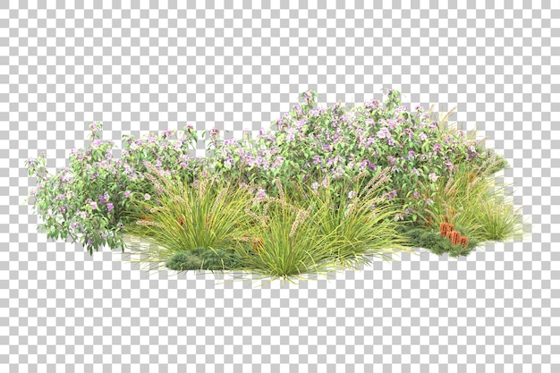 Tropischer Wald isoliert auf transparentem Hintergrund 3D-Darstellung