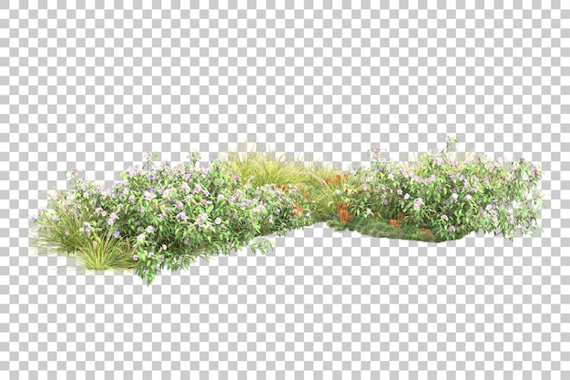 Tropischer Wald isoliert auf transparentem Hintergrund 3D-Darstellung