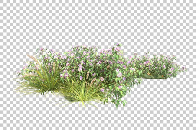 Tropischer Wald isoliert auf transparentem Hintergrund 3D-Darstellung