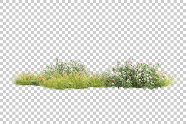 Tropischer Wald isoliert auf transparentem Hintergrund 3D-Darstellung