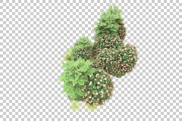 Tropischer Wald isoliert auf transparentem Hintergrund 3D-Darstellung