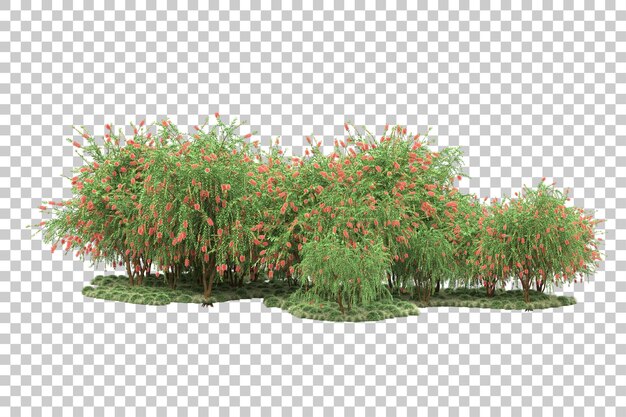 Tropischer Wald isoliert auf transparentem Hintergrund 3D-Darstellung
