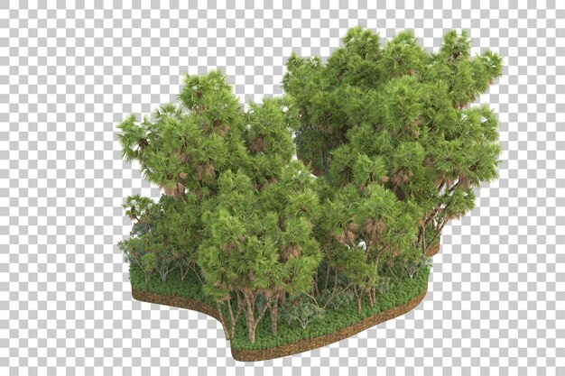 Tropischer Wald isoliert auf transparentem Hintergrund 3D-Darstellung