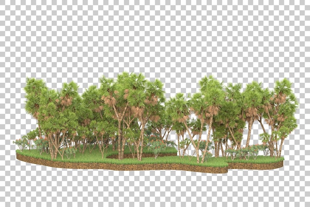 Tropischer Wald isoliert auf transparentem Hintergrund 3D-Darstellung