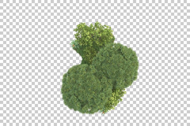 Tropischer Wald isoliert auf transparentem Hintergrund 3D-Darstellung