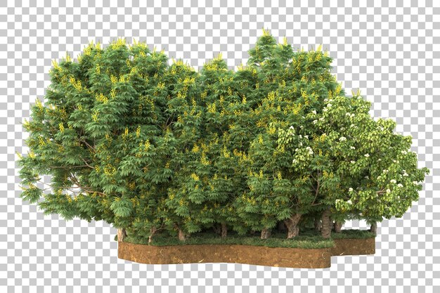 Tropischer Wald isoliert auf transparentem Hintergrund 3D-Darstellung