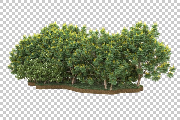 Tropischer Wald isoliert auf transparentem Hintergrund 3D-Darstellung