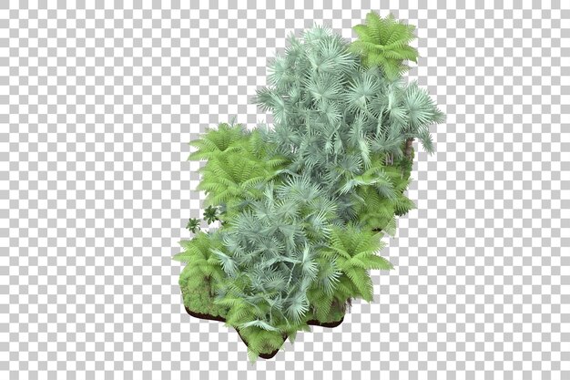 Tropischer Wald isoliert auf transparentem Hintergrund 3D-Darstellung