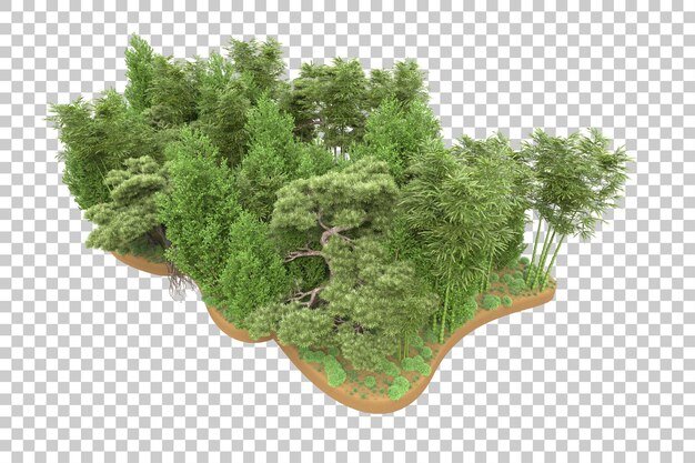 Tropischer Wald isoliert auf transparentem Hintergrund 3D-Darstellung