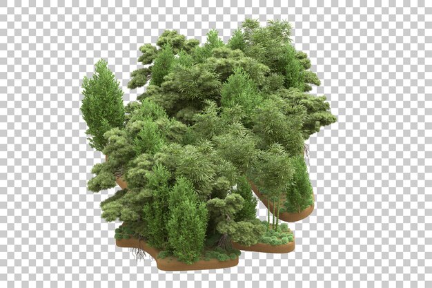 Tropischer Wald isoliert auf transparentem Hintergrund 3D-Darstellung