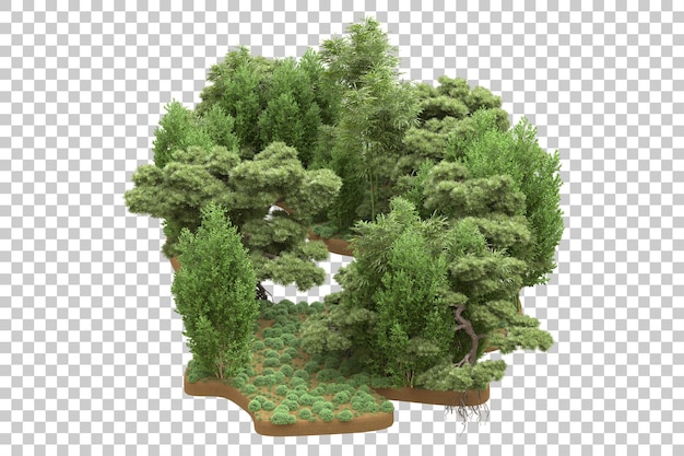 Tropischer Wald isoliert auf transparentem Hintergrund 3D-Darstellung