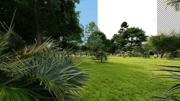 Tropischer Wald, transparenter Hintergrund, 3D-Rendering