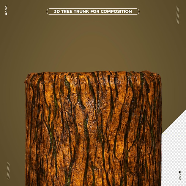 trozo de tronco de árbol para composición