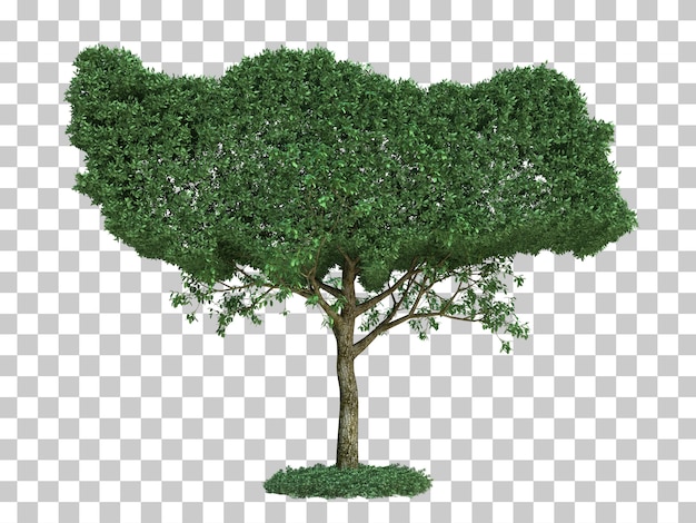 Türkei Kartenbaum