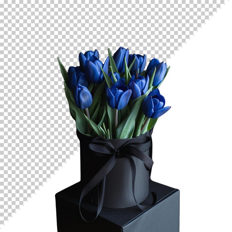 PSD tulipán rojo de cerca un montón de todos los colores tulipanes aislados en un fondo transparente rojo