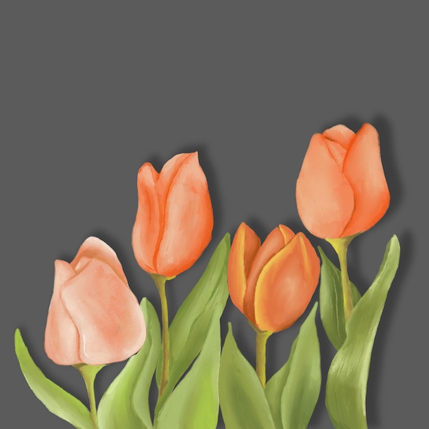 el tulipán