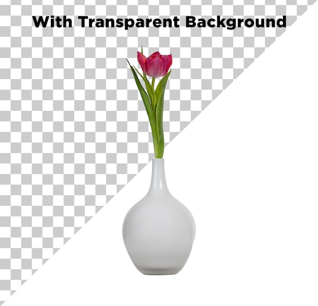 Tulipe rose dans un vase blanc