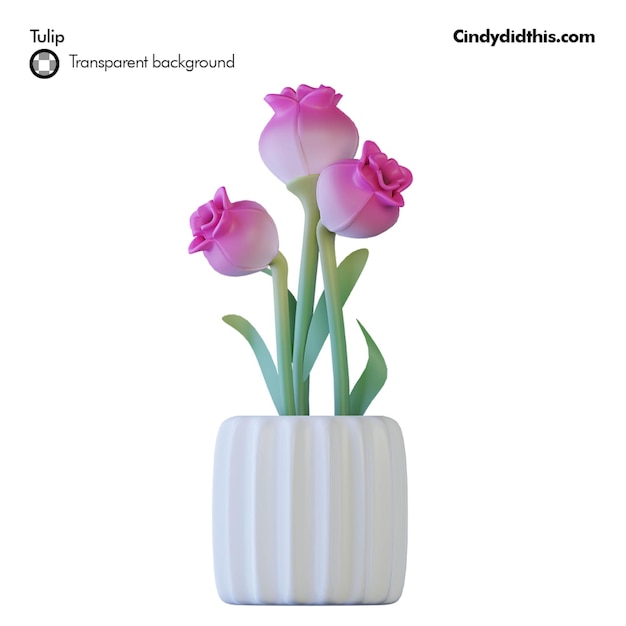tulipe