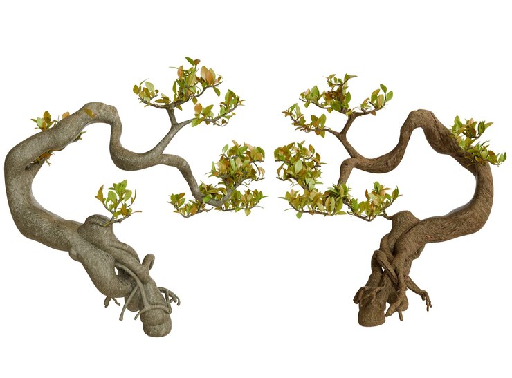 PSD two bonsai trees with twisted branches and leafy foliage
