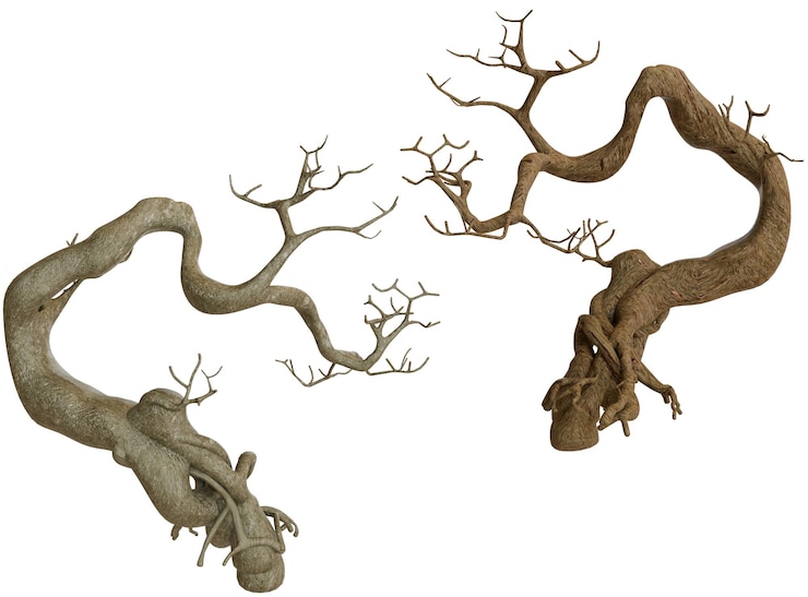 PSD two detailed bonsai trees with twisted branches