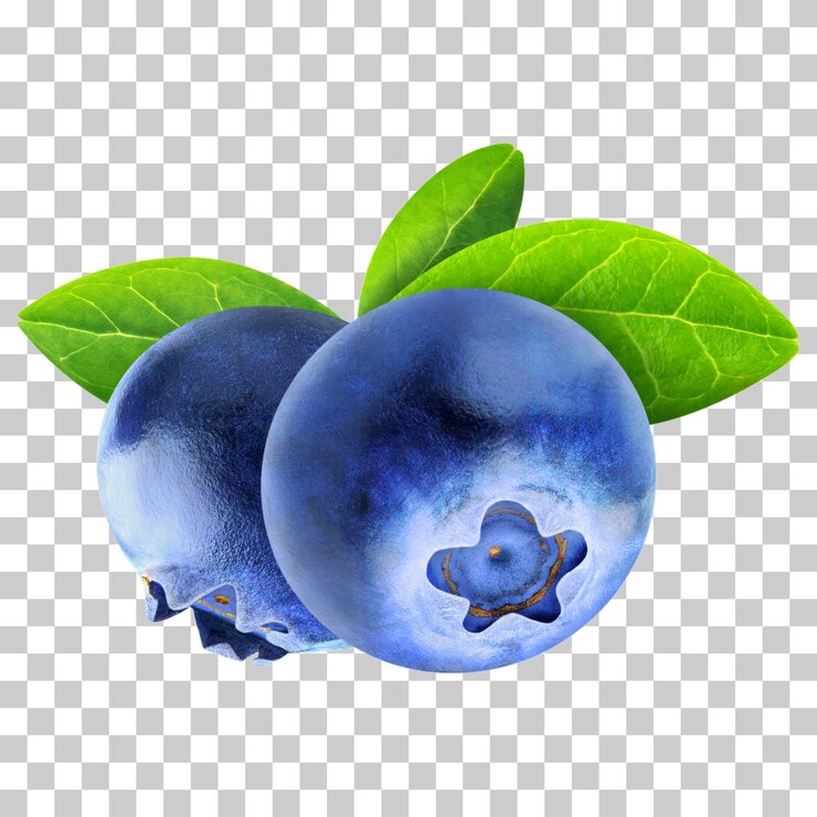Two fresh blueberries cutout 2 1