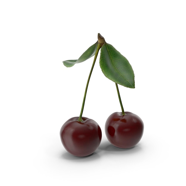 Two fresh cherries with green leaves