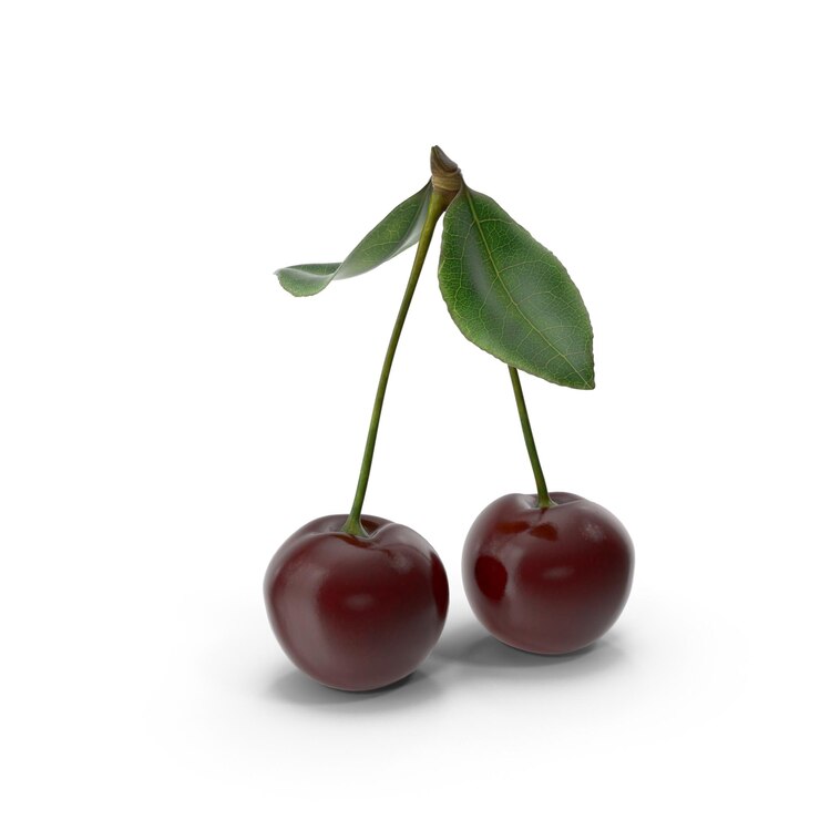 PSD two fresh cherries with green leaves