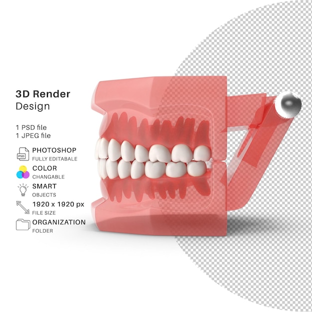 Typodont tooth retainer modelagem 3d psd arquivo realista